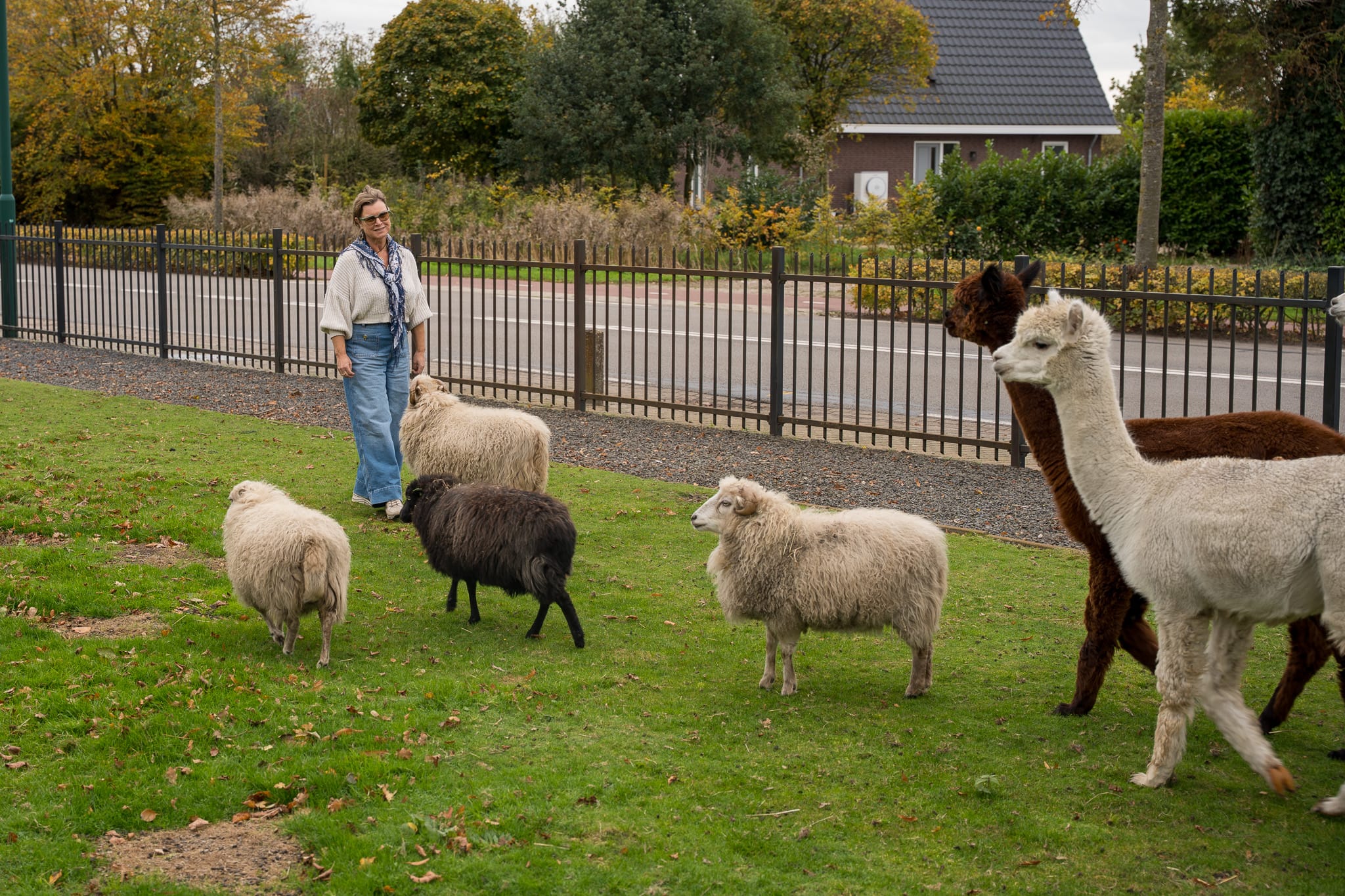 burnout-depressie-coaching